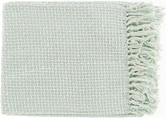 Tierney Throw Blankets In Mint Color By Surya