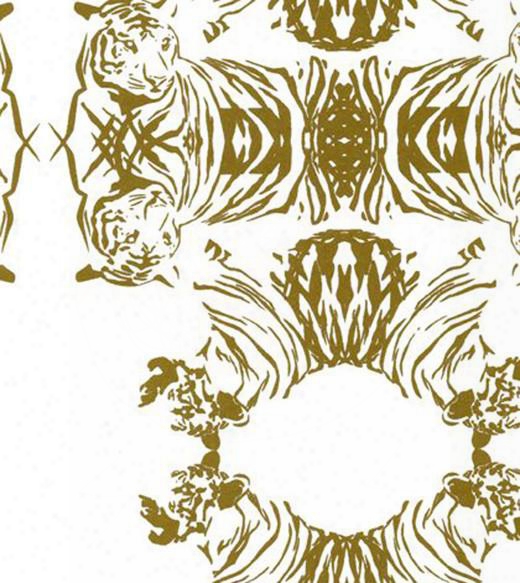 Tigerlace Wallpaper In Gold Design By Cavern Home