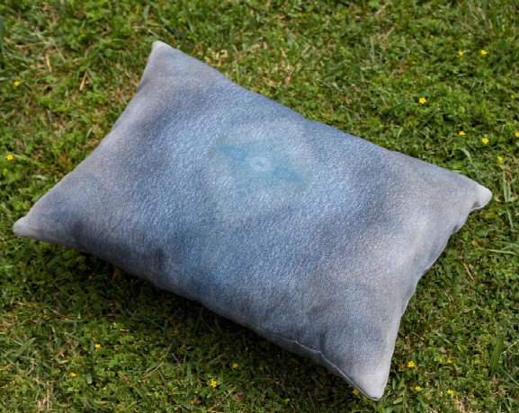Blue Eye Outdoor Throw Pillow By Elise Flashman