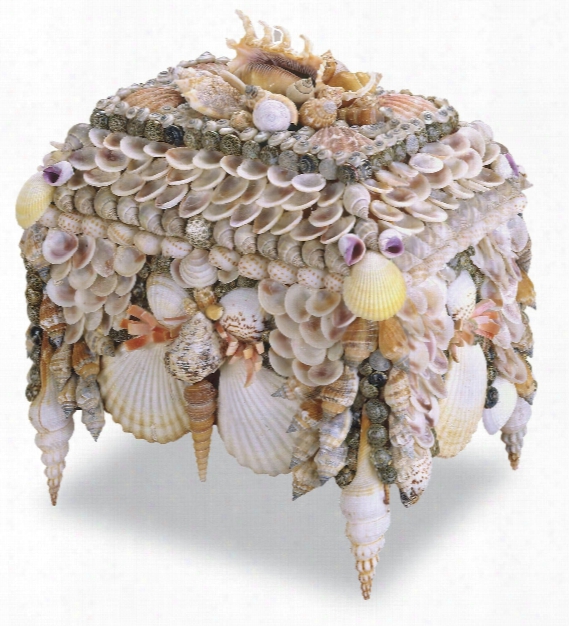 Boardwalk Shell Jewelry Box Design By Currey & Company