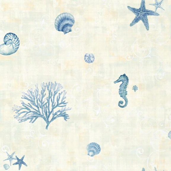 Boca Raton Azure Seashells Wallpaper From The Seaside Living Collection By Brewster Home Fashions