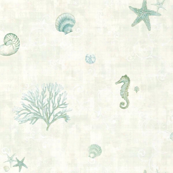 Boca Raton Teal Seashells Wallpaper From The Seaside Living Collection By Brewster Home Fashions
