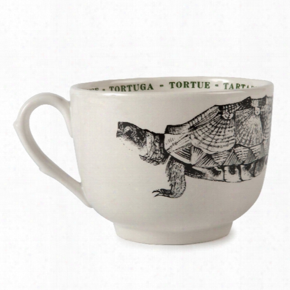 Tortoise Fauna Grand Cup Design By Sir/madam