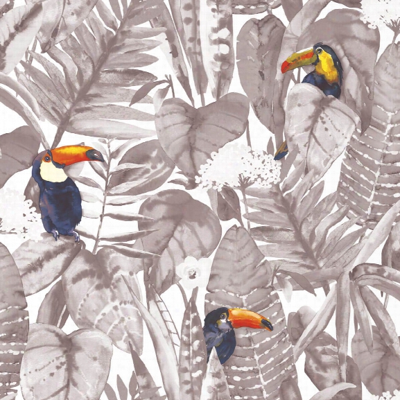 Toucan Self Adhesive Wallpaper In Newspaper Design By Tempaper