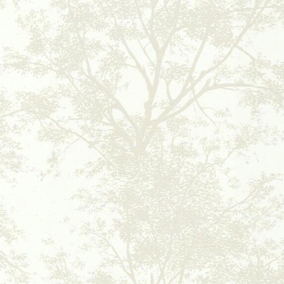 Tree Silhouette Wallpaper In Pearl From The Ashford Whites Collection By York Wallcoverings