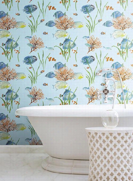 Tropical Reef Wallpaper In Multi And Light Blue Design By York Wallcovernigs