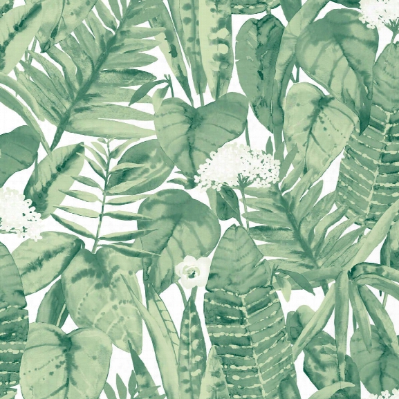 Tropical Self Adhesive Wallpaper In Jungle Green Design By Tempaper