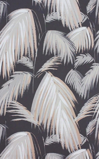 Tropicana Wallpaper In Dark Grey And Neutral By Matthew Williamson For Osborne & Little