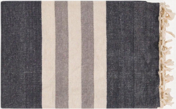 Troy Throw Blankets In Charcoal Color By Surya