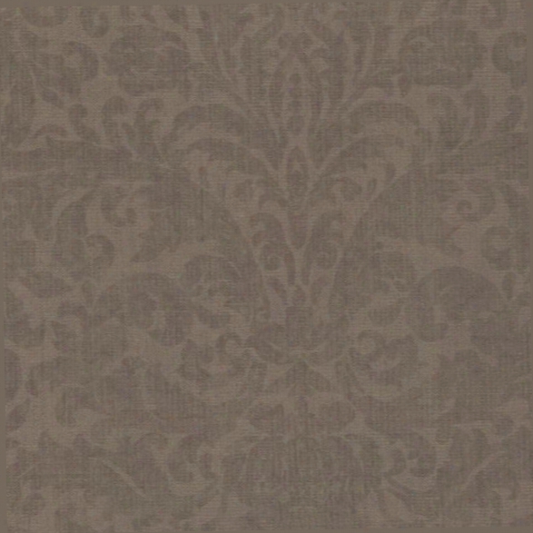 Twill Brown Damask Wallpaper From The Beyond Basics Collection By Brewster Home Fashions