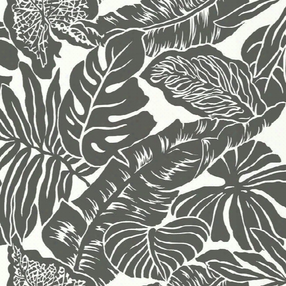 Valdivian Wallpaper In Black From The Ashford Whites Collection By York Wallcoverings