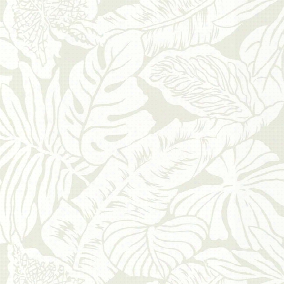 Valdivian Wallpaper In Pearl From The Ashford Whites Collection By York Wallcoverings