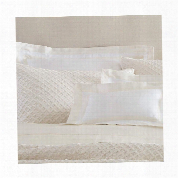 Velluto Velvet Ivory Quilted Sham Design By Luxe