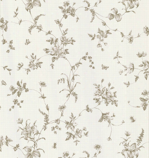 Vivace Floral Trail Wallpaper In Taupe By Brewster Home Fashions