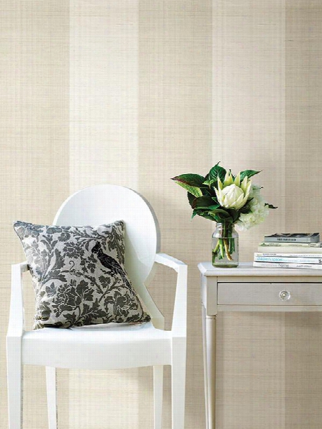 Vova Grey Grasscloth Wallpaper From The Jade Collection By Brewster Home Ashions