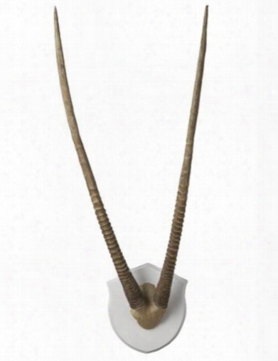 Wall Mounted Resin Gazelle Horns Design By Lazy Susan