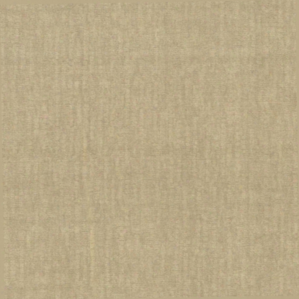 Wasp Beige Texture Wallpaper From The Beyond Basics Collection By Rbewster Home Fashions