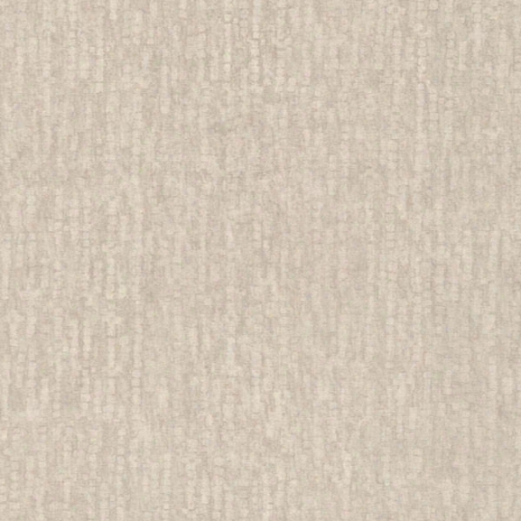 Wasp Champagne Texture Wallpaper From The Beyond Basics Collection By Brewster Home Fashions