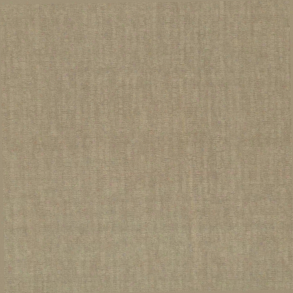 Wasp Gold Texture Wallpaper From The Beyond Basics Collection By Brewster Home Fashions