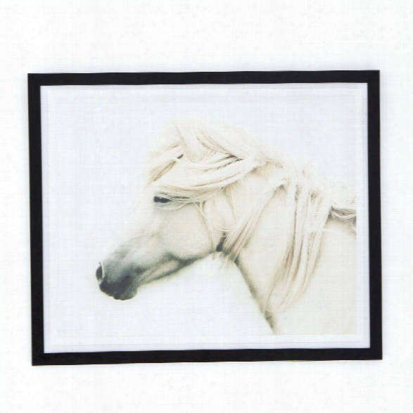 White Horse Ii Wall Art