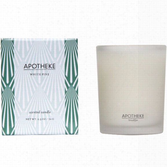 White Pine Votive Candle Design By Apotheke