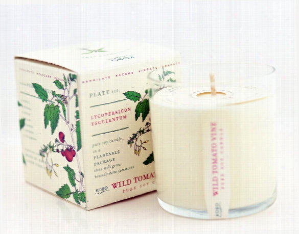 Wild Tomato Vine Soy Candle Design By Kobo Candles