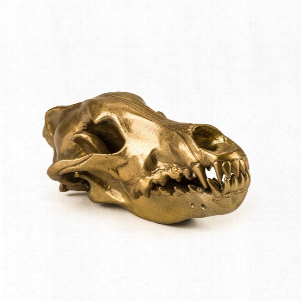 Wolf Skull Design By Seletti