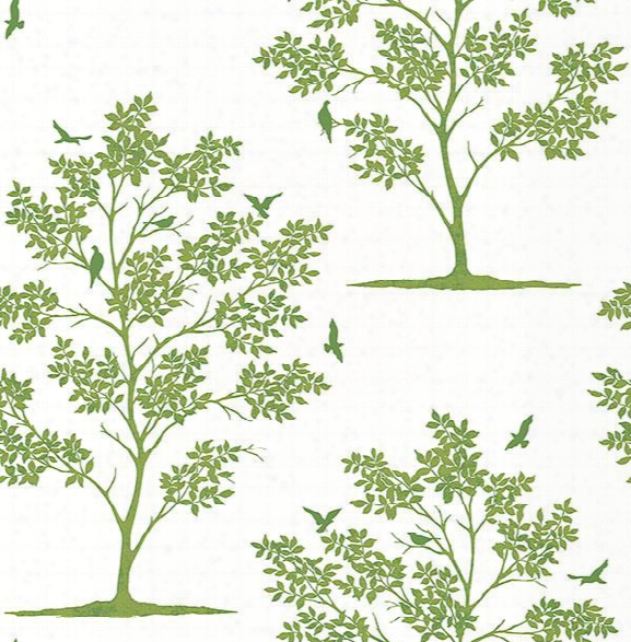 Woodland Green Trees & Birds Wallpaper From The Essentials Collection By Brewster Home Fashions