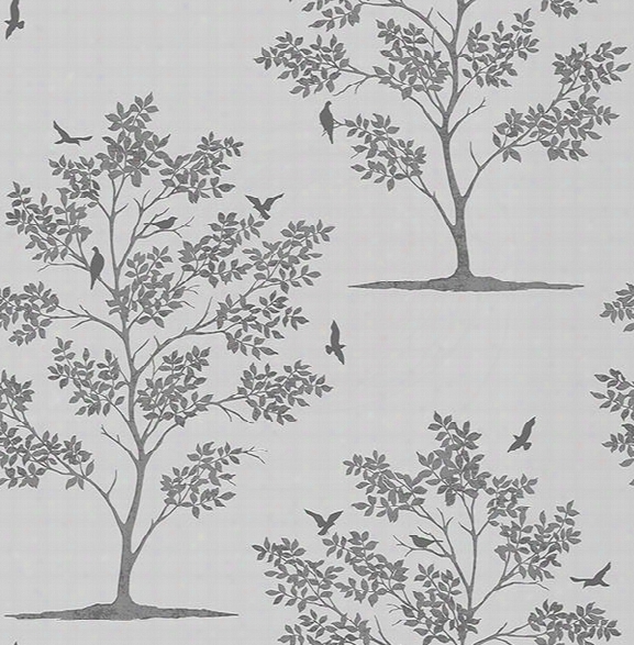 Woodland Grey Trees & Birds Wallpaper From The Essentials Collection By Brewster Home Fashions