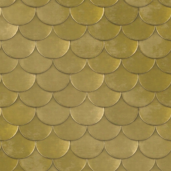 Brass Belly Self Adhesive Wallpaper In Old World Brass Metallic By Genevieve Gorder For Tempaper
