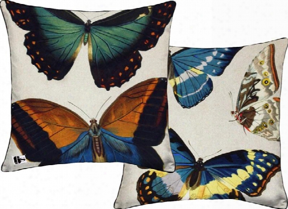 Bug Two Sided Pillow Design By Fjs