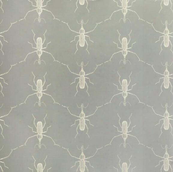 Buggie Wallpaper In Grey's Anatomy By Abnormals Anonymous
