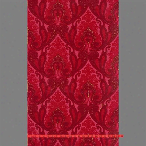 Burgundy And Red Kismet Ornate Indian Damask Velvet Flocked Wallpaper Design By Burke Decor