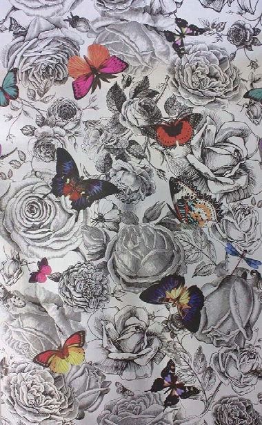 Butterfly Garden Wallpaper From The Enchanted Gardens Collection By Osborne & Little