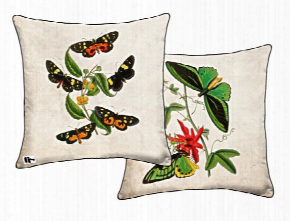 Butterfly Two Sided Pillow Design By Fjs