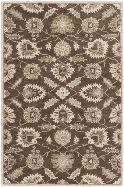 Caesar Rug In Medium Grey & Dark Brown Design By Surya