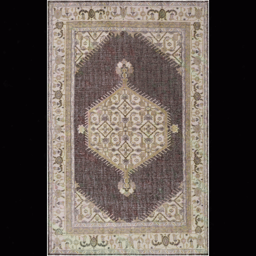 Zahra Chocolate & Light Grey Rug Design By Surya