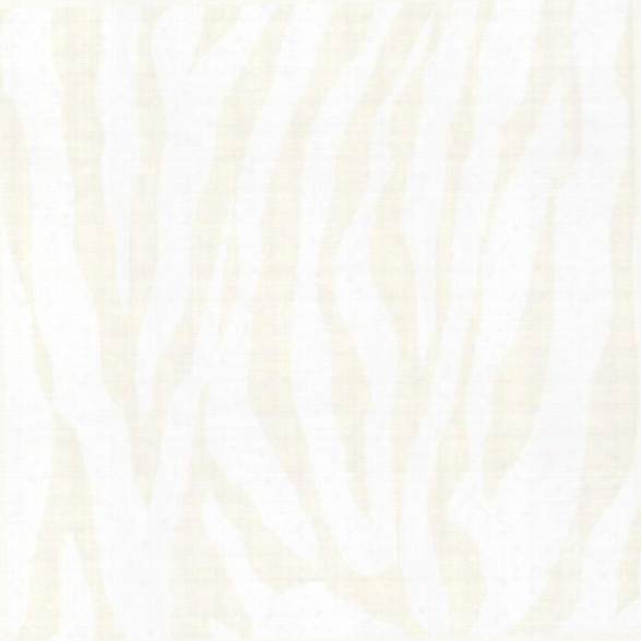 Zebbie Champagne Zebra Print Wallpaper Design By Brewster Home Fashions