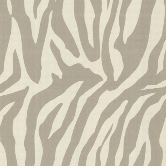 Zebbie Taupe Zebra Print Wallpaper Design By Brewster Home Fashions