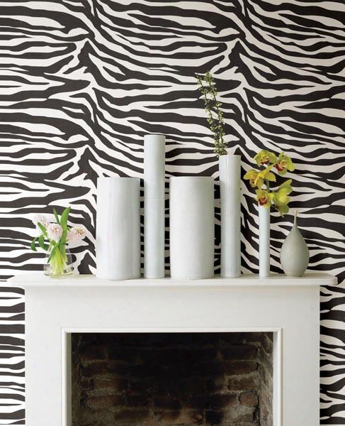 Zebbie White Zebra Print Wallpaper Design By Brewster Home Fashions