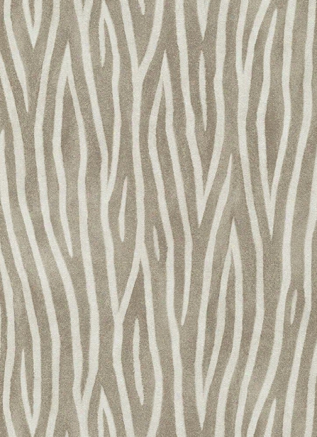 Zebra Stripes Wallpaper In Browns Design By Bd Wall