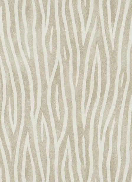 Zebra Stripes Wallpaper In Taupe Design By Bd Wall