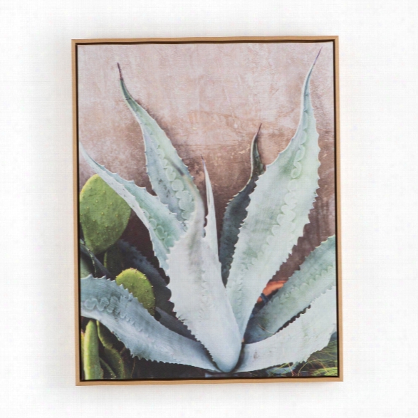 Agave Plant By Brooke Slezak Wall Art