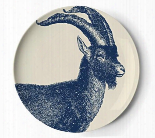 Capricorn Coaster Viand Design By Thomas Paul