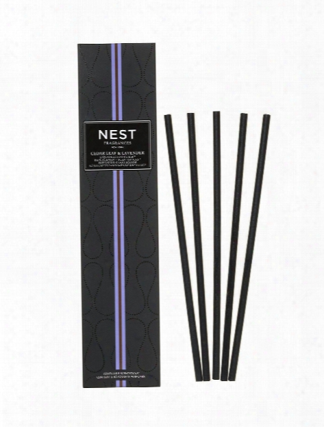 Cedar Leaf & Lavender Liquidless Diffuser Refills Design By Nest Fragrances