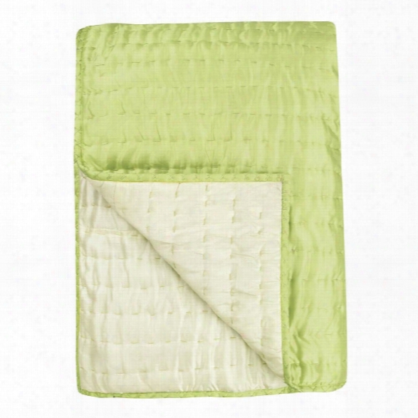 Chenevard Wild Lime & Pale Mint Reversible Quilt & Pillow Cases Design By Designers Guild