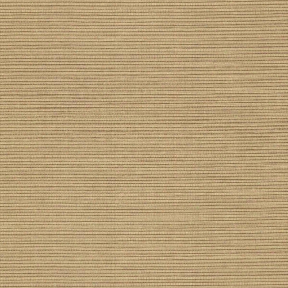 Chenille Beige Texture Wallpaper From The Beyond Basics Collection By Brewster Home Fashions