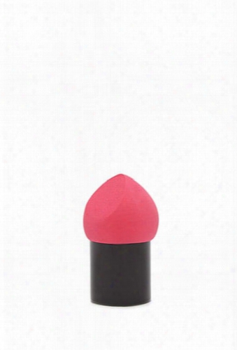 Angled Makeup Sponge