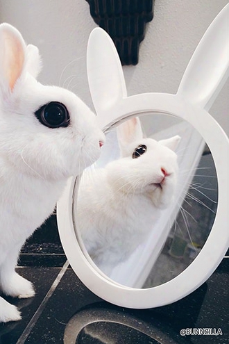 Matte Bunny Mirror