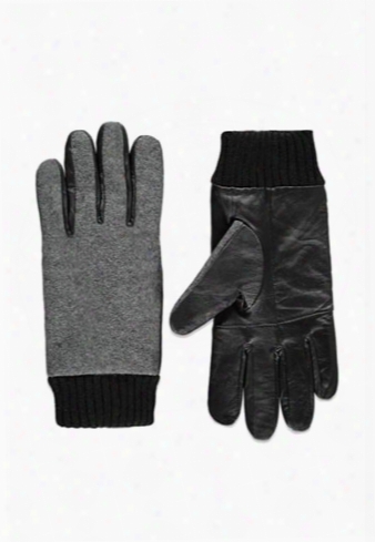 Men Leather-paneled Gloves